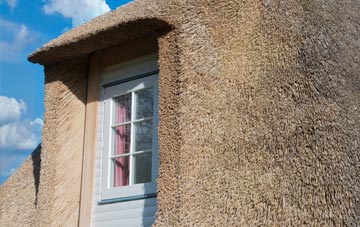 Tain thatch roof disadvantages